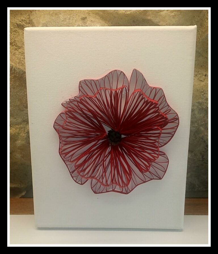 494304532_3822605924696597_6484831096808680144_n